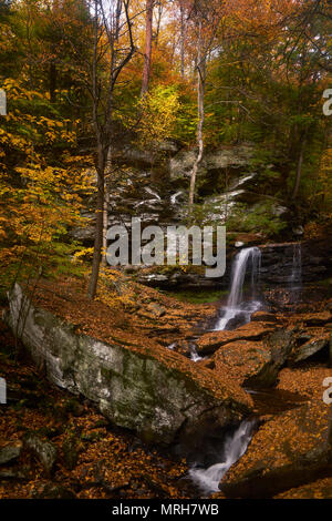 B. Reynolds tombe dans Ricketts Glen State Park Banque D'Images