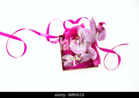 Orchid fleurs roses et une petite boîte cadeau beige avec un ruban de satin isolé sur fond blanc Banque D'Images