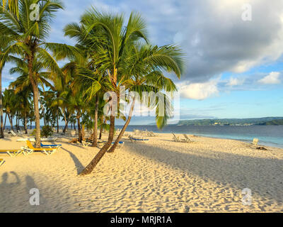 Plage de la mer des Caraïbes, belle plage de sable, de palmiers et de chaises longues, l'ombre du soleil Banque D'Images