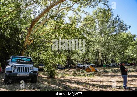 La réserve naturelle de los ojos de Cuenca, dans l'État de Sonora au Mexique..Reserva Natural Cuenca los ojos La Cuenca los ojos Foundation s'efforce de préserver et de restaurer le bi Banque D'Images