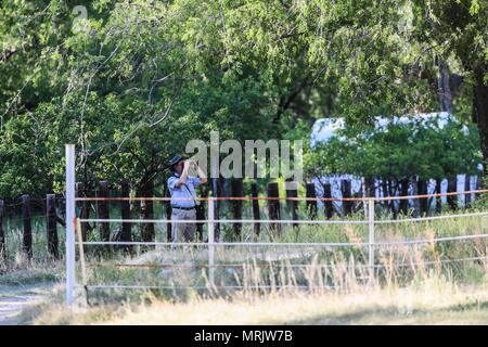 La réserve naturelle de los ojos de Cuenca, dans l'État de Sonora au Mexique..Reserva Natural Cuenca los ojos La Cuenca los ojos Foundation s'efforce de préserver et de restaurer le bi Banque D'Images