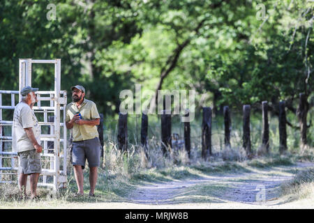 La réserve naturelle de los ojos de Cuenca, dans l'État de Sonora au Mexique..Reserva Natural Cuenca los ojos La Cuenca los ojos Foundation s'efforce de préserver et de restaurer le bi Banque D'Images