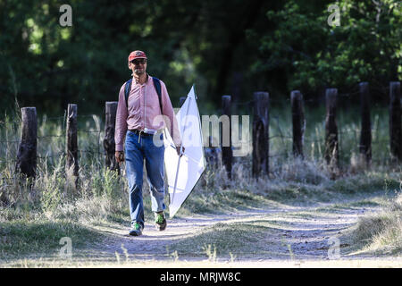 La réserve naturelle de los ojos de Cuenca, dans l'État de Sonora au Mexique..Reserva Natural Cuenca los ojos La Cuenca los ojos Foundation s'efforce de préserver et de restaurer le bi Banque D'Images