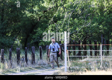 La réserve naturelle de los ojos de Cuenca, dans l'État de Sonora au Mexique..Reserva Natural Cuenca los ojos La Cuenca los ojos Foundation s'efforce de préserver et de restaurer le bi Banque D'Images