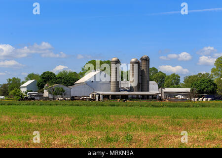 Ronks, PA, USA - Le 23 mai 2018 : un grand et vaste avec la ferme des granges et des silos est dans le comté de Lancaster. Banque D'Images