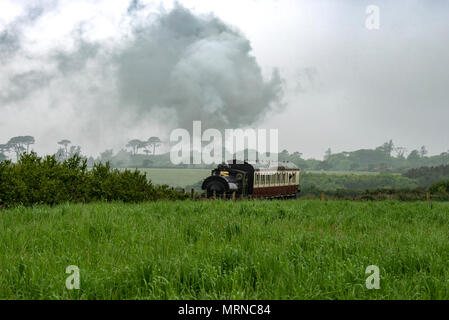 Train à vapeur Helston Cornwall uk Angleterre la plus au sud de la ligne de train dans le train à vapeur Helston Royaume-Uni l'écriture de la gare de trains à vapeur souther Helston Cornwall le dernier jour des services de voyageurs, samedi 3 novembre 1962 Helston Railway est une reconstruction de l'original GWR embranchement que desservies Helston et la péninsule du Lézard pendant plus de 100 ans jusqu'à quand elle a fermé dans les années 60. La ligne de lavage auto aux voyageurs locaux, les touristes et les entreprises, y compris la fabrication, l'exploitation minière et la base aérienne Culdrose. Banque D'Images