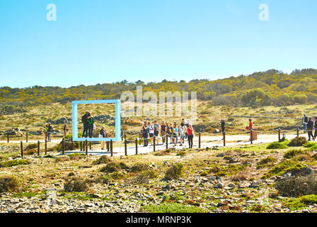 L'île de Robben Island (en afrikaans : Robbeneiland) île dans Table Bay, à l'ouest de la côte de Bloubergstrand, Cape Town, Afrique du Sud. Le nom est le néerlandais pour 'seal Banque D'Images