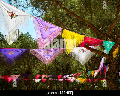 Habillé d'arbres avec des Mantones de Manille Manille (châles) dans un flamenco au juste. Fils d'espagnol à la bombe. Banque D'Images