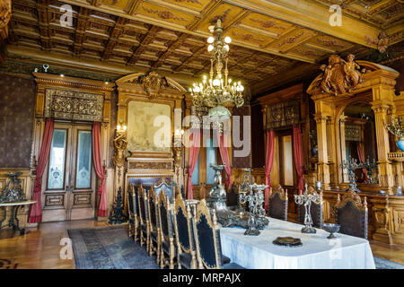 Mexico,Polanco,hispanique,immigrants,mexicain,Bosque de Chapultepec parc forestier parque,Château Castillo de Chapultepec,intérieur,dini Banque D'Images