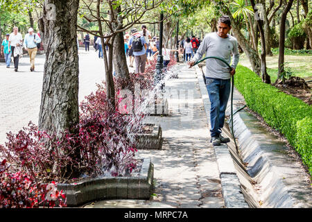 Mexico,Polanco,hispanique,immigrants,Mexicain,Bosque de Chapultepec parc forestier parque,Castillo de Chapultepec rampe,passerelle,aménagement paysager,ga Banque D'Images