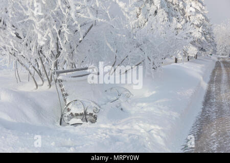 Arbres d'hiver couverts de neige. Banc de neige gelée blanche dans le paysage du parc. Banque D'Images