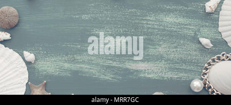 En bois naturel de la bannière shell mer rétro arrière-plan en pierre. Mise à plat composition décorative Banque D'Images