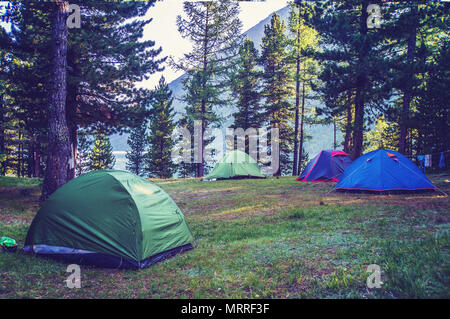 Un certain nombre de tentes debout sur une prairie dans les bois sur un fond de lac et montagnes. Camping dans la forêt de pins Banque D'Images