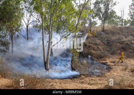 Pompiers lutter contre un incendie causé par des bombes qui ont été transportés de cerf-volant de Gaza avec un chiffon imbibé d'essence allumé, à mis le feu aux champs et récoltes. Photographié le 25 mai 2018 sur l'Israël Palestine (Gaza) Border Banque D'Images