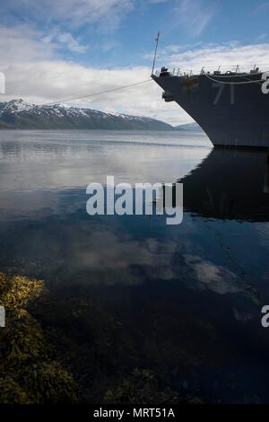 170628-N-FQ994-011 Tromsø, Norvège (28 juin 2017) La classe Arleigh Burke destroyer lance-missiles USS Ross (DDG 71) amarré à Tromso, Norvège, le 28 juin 2017. Ross, l'avant-déployé à Rota, Espagne, mène des opérations navales dans la sixième flotte américaine zone d'opérations à l'appui de la sécurité nationale des États-Unis en Europe et en Afrique. (U.S. Photo par marine Spécialiste de la communication de masse 3e classe Robert S. Price/libérés) Banque D'Images