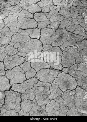 La sécheresse, le sol se fissure, pas de plats chauds, de l'eau, le manque d'humidité. Banque D'Images