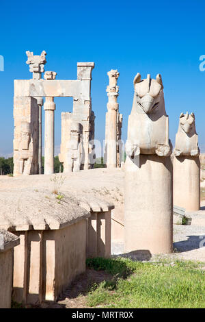 Statue de Griffin à porte d'entrée de l'ancienne ville de Persepolis, Iran Banque D'Images