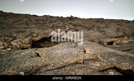 Autour des champs de lave du volcan Erta Ale en Ethiopie, Afar, Danakil Banque D'Images