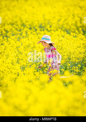 Maja-Isobel Lawson joue dans un champ de fleurs jaunes près de Bretton, dans le Yorkshire, comme une vague de chaleur frappe certaines parties du Royaume-Uni. Banque D'Images