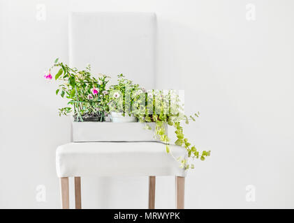 Fleurs en pot dans du papier fort sur tabouret blanc et copiez l'espace sur le mur, de face. Home les plantes et le jardinage des idées Banque D'Images