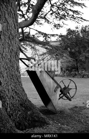 Brouette victorien antique appuyé contre un CedarTree, Canons Ashby, Northamptonshire Banque D'Images