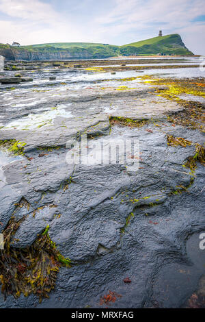 Face à CHAVELLS KIMMERIDGE TOWER DANS LE DORSET Banque D'Images