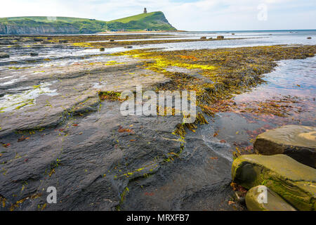 Face à CHAVELLS KIMMERIDGE TOWER DANS LE DORSET Banque D'Images