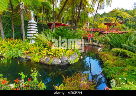 Monte jardin tropical de l'île de Madère, Portugal Banque D'Images
