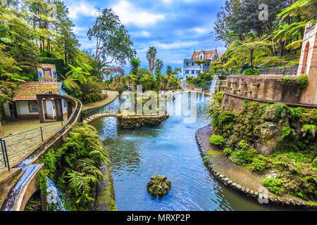 Vue panoramique sur le jardin tropical en été. Île de Madère, Portugal Banque D'Images