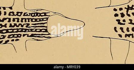 'Transactions of the American Philosophical Society' (1771) Banque D'Images