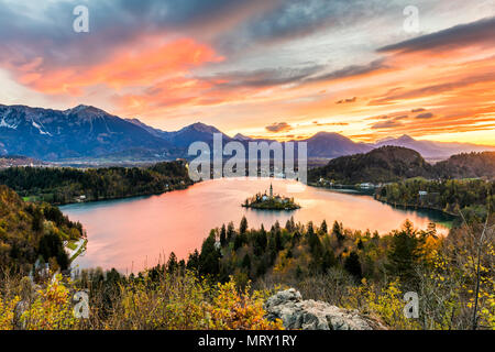 Portrait du lac au lever du soleil. Bled, Haute-Carniole, Slovénie Banque D'Images