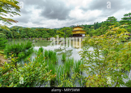 Le JAPON, KYOTO- 7 juin 2015 : Temple Kinkakuji (Pavillon d'or) derrière les arbres, la célèbre temple bouddhiste Zen à Kyoto, Japon Banque D'Images