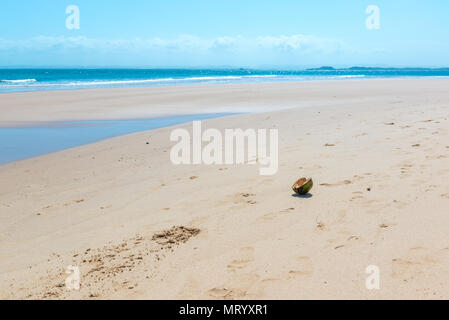 Noix de coco séché sur le sol de sable de plage Banque D'Images