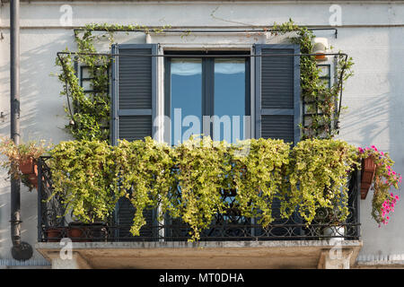 balcon orné de plantes vertes et fleuries éclatantes en cascade sur une balustrade en fer noir. Milan, Italie Banque D'Images