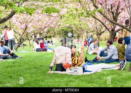 Bucarest, Roumanie - 15 avril 2018 : Les gens s'amuser dans le jardin japonais du Parc Herastrau Printemps le week-end Banque D'Images