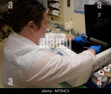 Erin Penney, 88e Escadron de diagnostics et thérapeutiques microbiologie superviseur technique, les lieux se glisse dans l'intérieur de la crépine gramme couleur laboratoire de microbiologie à Wright-Patterson Air Force Base medical center le 30 juin 2017. La coloration de Gram ce processeur est plus efficace que la méthode rudimentaire de la coloration de Gram les bactéries, alors qu'il permet à plusieurs diapositives à teindre en même temps. (U.S. Air Force photo/Michelle Gigante) Banque D'Images