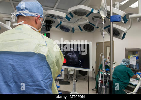 Le Major de l'US Air Force (Dr) Joshua Hamilton, 88e Escadron d'opérations médicales pneumologue, le personnel effectue une échographie endobronchique, aspirer à l'aiguille fine d'échantillonnage procédure sur un patient dans une salle d'opération, tandis que Pamela Baker, 88 Diagnostics et thérapies de cytologie de l'Escadron, technicien taches chimiquement l'échantillon de tissu du patient à une diapositive pour le Major (Dr.) Luisa Watts, 88 pathologiste DTS pour effectuer l'analyse microscopique à l'intérieur de la salle d'opération à Wright-Patterson Air Force Base Medical Center, le 26 juin 2017. Watts examine l'échantillon de tissu sous le microscope pour faire un diagnostic de Banque D'Images