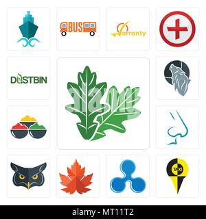 Ensemble de 13 icônes modifiable simple comme la feuille de chêne, érable, ondulation , nez, épice, loup, poubelle peut être utilisé pour le mobile, l'interface utilisateur web Illustration de Vecteur