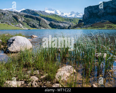 Lac de montagne alpin environnant. Lac Ercina dans le parc national de Picos de Europa, l'Espagne, les Asturies. La neige sur les sommets des montagnes. Banque D'Images