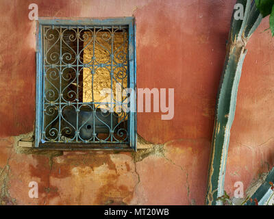 Fenêtre avec une grille en métal bleu sur le mur rouge du bâtiment, sur la droite un grand tronc vert d'un cactus, une conception moderne de la décoration photo Banque D'Images