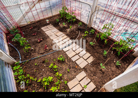 Jardin de légumes fraîchement plantés quartier résidentiel Banque D'Images