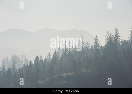 Discussion Les incendies dans l'ouest des Highlands d'Écosse provoquant un épais brouillard de fumée sur le port de Plockton dans la matinée. Banque D'Images