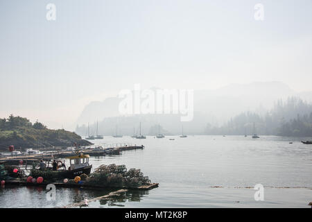 Discussion Les incendies dans l'ouest des Highlands d'Écosse provoquant un épais brouillard de fumée sur le port de Plockton dans la matinée. Banque D'Images