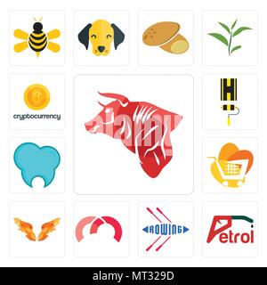 Ensemble de 13 icônes modifiable simple comme Bull, de l'essence, l'aviron, m, d'ailes d'ange, trolley, clinique dentaire, l'autoroute, cryptocurrency peut être utilisé pour le mobile, Illustration de Vecteur