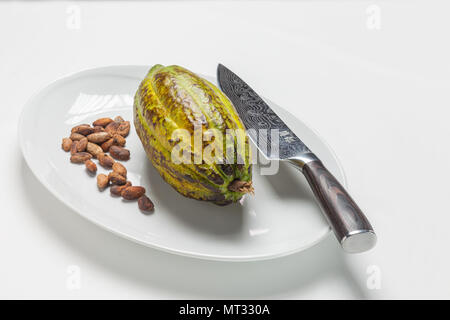 Cabossa, fruit du cacaoyer avec couteau en damas Banque D'Images