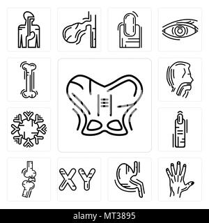 Ensemble de 13 icônes modifiable simple tels que les droits de l'hanche, hommes de main, de l'estomac avec des liquides, chromosomes masculin, les os des doigts, mixte, système immunitaire, la trachée Illustration de Vecteur