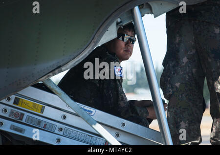 Le 251e Escadron est une unité de l'armée de l'air de la République de Corée affectée à la 5e escadre de mobilité aérienne de la base aérienne de Gimhae à Busan. Le 29 juillet 2017, un membre de l'escadron a observé le déchargement de la cargaison après son arrivée à la base conjointe Lewis-McChord, Washington, pour Mobility Guardian. L'image d'archives documente l'activité logistique au cours des opérations multinationales de mobilité aérienne. Banque D'Images