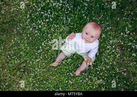 Mignon bébé garçon, assis sur l'herbe, des marguerites autour de lui, en plongée des Banque D'Images