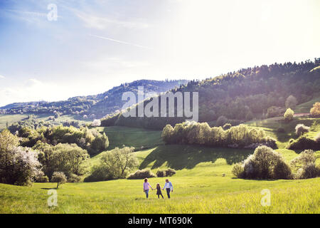 Couple avec petite-fille à l'extérieur au printemps, la nature, la marche à pied. Banque D'Images