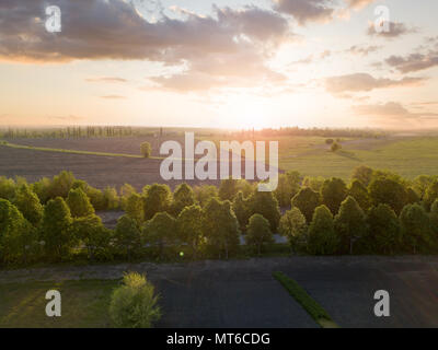 Vue panoramique sur un grand champ au coucher du soleil. Photo de la drone Banque D'Images